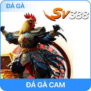 2da-ga-rr88